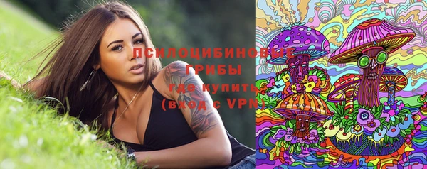 гашик Белоозёрский