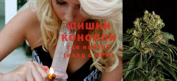 индика Покровск
