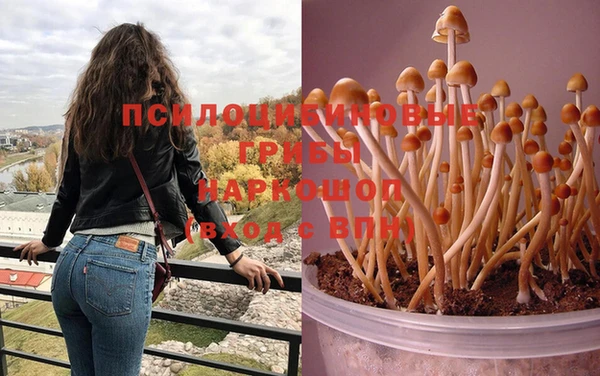 гашик Белоозёрский
