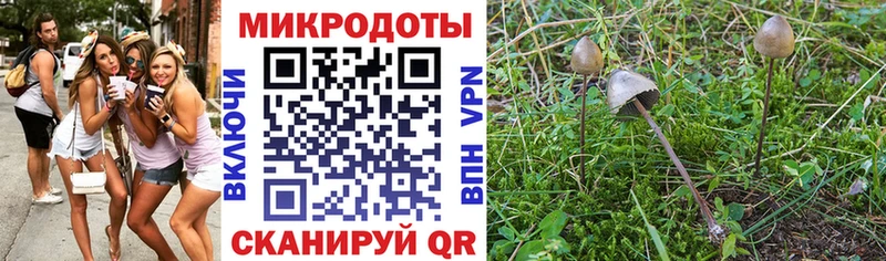 Купить закладки  Белый  Галлюциногенные грибы Cubensis 